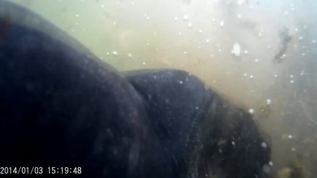 ТАКУЮ рыбу я ещё НЕ ВСТРЕЧАЛ. 3 ДНЯ под водой. Первый мой видео ролик для Ютуб канала смотреть онлайн