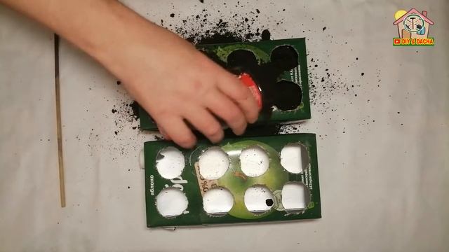 Как я выращиваю зеленый лук на окне. День 1. Высаживаю луковицы DIY & DACHA. №154 смотреть онлайн