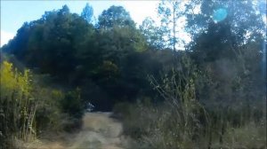 GitUp Git2 Pro Youtube Gyro & Resolution   Dirt Bike Test