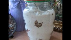 Сохраним чеснок до весны. Как и где правильно  хранить чеснок дома в зимнее время