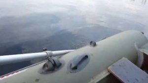 Завидуйте рыболовы!!! Рыбалка на озере Полисто.