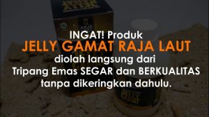 JUAL JELLY GAMAT RAJA LAUT DI METRO LAMPUNG