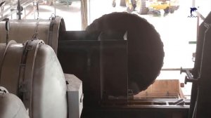 Плоды пальмового дерева ПАЛЬМОВОЕ МАСЛО ТЕХНИКА