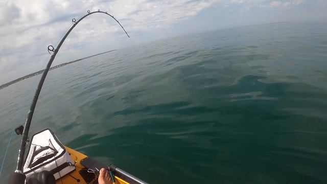 10.94lb! First Double Digit Fluke (Flounder) On Light Tackle! | Montauk Kayak Fishing | смотреть онлайн