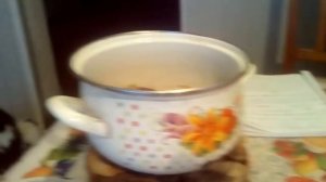 11 СРЕДСТВ ЛЕЧЕНИЯ ПОНОСА У КУР И ЦЫПЛЯТ