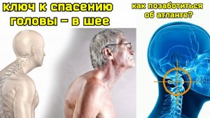 Зажатая поперечная связка атланта душит мозг и шею. Методы декомпрессии