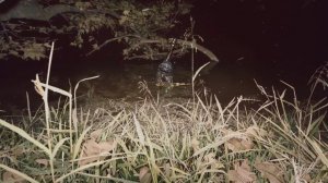 Jibaro (2022) Love Death Robots Full hollywood Movie explained in Hindi | Fm Cinema Hub