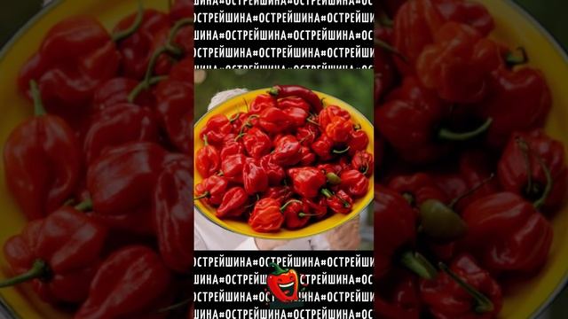 Поясняем За Острые Соусы И Перцы  #острейшина #острыйперец #food #hotpepper