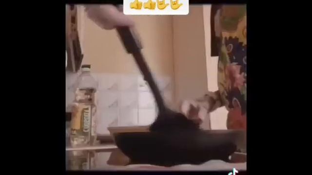 Котлеты из крабовых палочек смотреть онлайн