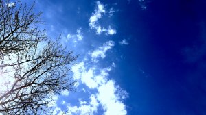 Облака | Природные явления | Сибирь, природа, весна | ? 2021