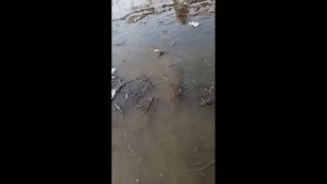 ПЬЯНЫЕ НА РЫБАЛКЕ // ПРИКОЛЫ НА РЫБАЛКЕ 2023 // ШОК РЫБАЛКА