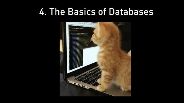 BEST Tips for Software Developers and Engineers - Maximize Your Productivity 2023