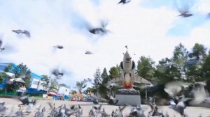 С днём рождения, город Артём!