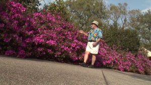 Southern Gardening TV - April 3, 2013 - Indica Azalea