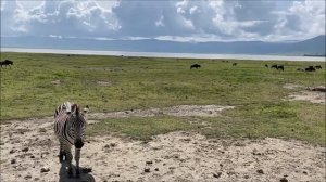 Танзания 2020 - Озеро Маньяра и кратер Нгоронгоро