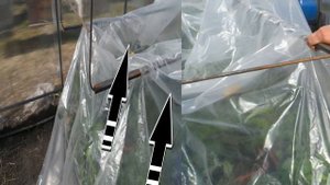 Парник в теплице