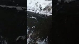 Сьемник для топливного фильтра на Маз