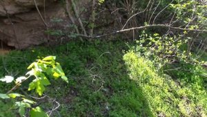 02_05_2021_с.ВЫСОЦКОЕ_ВЕЛОПРОГУЛКА ПО ОКРЕСТНОСТЯМ.mp4