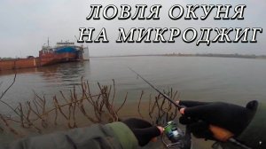 Ловля Окуня на Микроджиг
