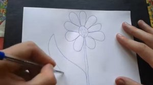 Рисование: Как нарисовать РОМАШКУ поэтапно (ДЛЯ НАЧИНАЮЩИХ). How to DRAW a chamomile?