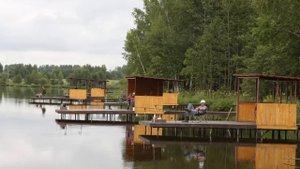 Почему поехав на платный пруд, вы никогда не поймаете рыбу?