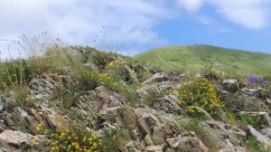 Поход на Лысую гору (Новороссийск) + вершина Семигорка