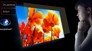 Монитор Acer EK240YAbi