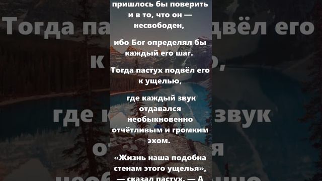 Притча Пауло Коэльо эхо наших дел | Сказки Суламифь