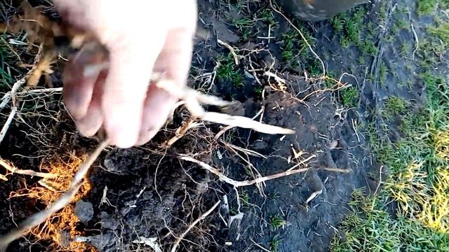 Зачем мне кучки Обзор комнат смотреть онлайн