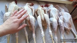 Сколько весят тушки петушков в моем хозяйстве?