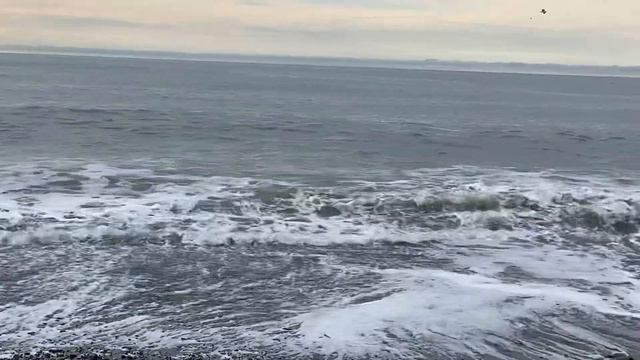 11.12.2023. Погода в Сочи в декабре. Смотри на Чёрное море каждый день.