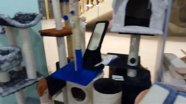 Поход Тиффани к грумеру. Щенок йоркширского терьера смотреть онлайн