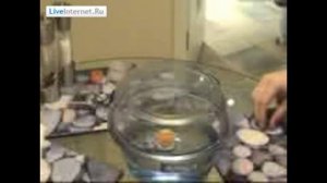 Телекинез. Правила Магии.