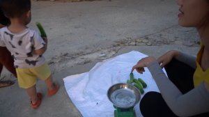 Harvest Cucumber Goes To The Market Sell - Green Forest Building Farm, Free Bushcraft