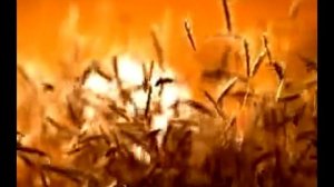 Першинъ - Збитень