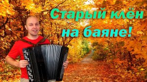 Старый клён - кавер на баяне
