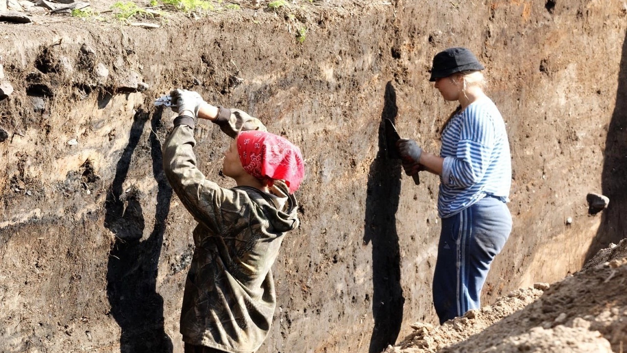 Зуб мамонта. Линолеум из бересты. Археологи на древнем городище в районе посёлка Шеркалы