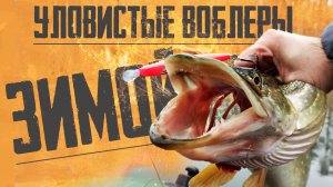 ? Эти ВОБЛЕРЫ ЛОВЯТ даже ЗИМОЙ!!! УЛОВИСТЫЕ ВОБЛЕРЫ с Алиэкспресс!!! ???