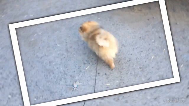 Пишите свои ответы в комментах смотреть онлайн