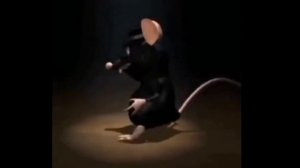 Крыса танцует под музыку