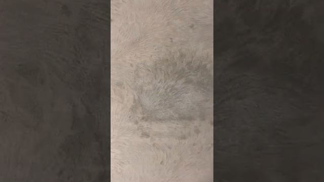 Как очистить (вывести) пятна с дивана Dafor смотреть онлайн