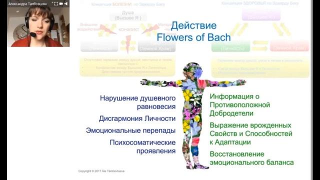 относительность позитивных и негативных качеств смотреть онлайн