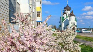 Фото "Березино 2021" Лучшие ФОТО с Видами города!