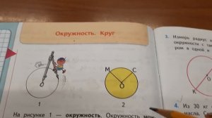 Математика. Окружность.Круг. Радиус. Деление на доли (части).