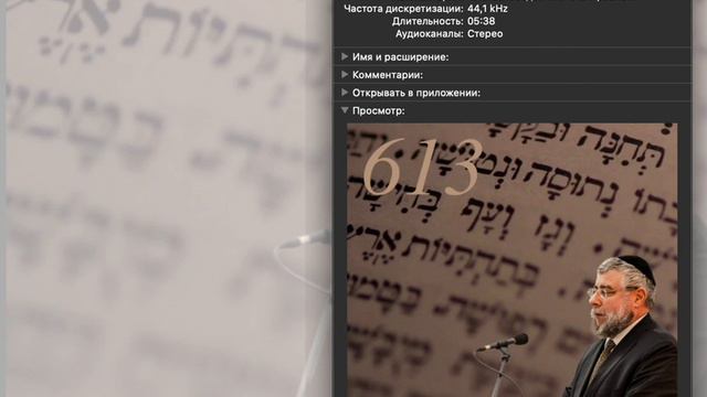 "613 заповедей или 613 проблем?"  рав Пинхас Гольдшмидт