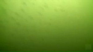 Подводная охота в Ярославской области.