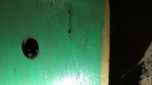 Жуткий лифт ЩЛЗ (2009 Г.В) V=1 М/C, Грузоподъемность Q=320 КГ.