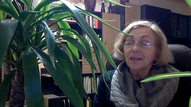 ЮККА НЕ ПРИХОТЛИВОЕ РАСТЕНИЕ. УХОД ЗА ЮККОЙ. смотреть онлайн