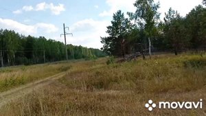 Коп на Урале от 22 августа.