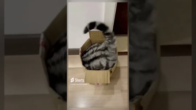 Всё равно залез